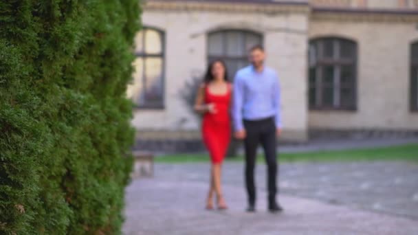 Beautiful Couple Boyfriend Girlfriend Walking Kissing Park Background Man Woman — Video Stock