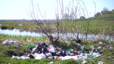 2020 Ukrayna Baharı. Çöpten kaynaklanan çevre kirliliği. Ormanda, sislerin içinde doğanın çöpleri. Parktaki ekolojik felaket