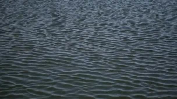 Krásná Řeka Jaře Venkově Záběry Krásného Jezera Větrného Počasí Záběry — Stock video