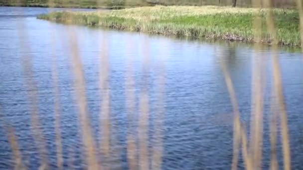 Beautiful River Spring Countryside Footage Beautiful Lake Windy Weather Footage — Stockvideo