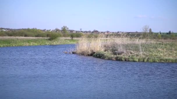 Beautiful River Spring Countryside Footage Beautiful Lake Windy Weather Footage — Stock video