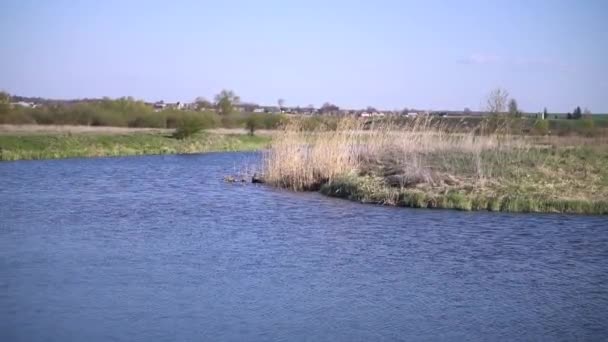 Beautiful River Spring Countryside Footage Beautiful Lake Windy Weather Footage — ストック動画