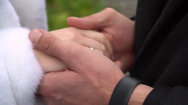 Hands Newlyweds Background Park Wedding Wonderful Birthday New Seven — Stockvideo