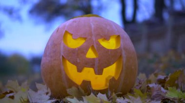 Halloween holiday evening clip. Cut head with scary Jack on a background of trees.