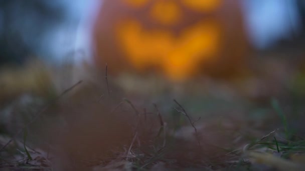 Хэллоуин Праздничный Клип Вырубить Голову Страшным Джеком Фоне Деревьев — стоковое видео