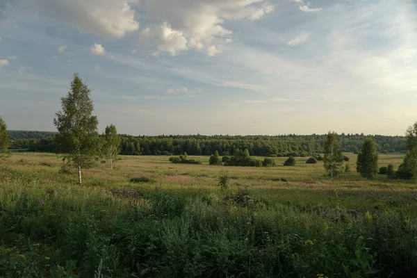 Pole Krajobrazowe Niebo Natura Wiejska Lecie — Zdjęcie stockowe