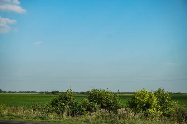 Green Field Blue Sky Beautiful Rural Landscape — Stock Photo, Image