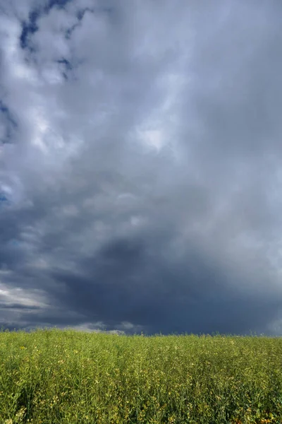 Рапсовое Голубое Облачное Небо Красивый Сельский Пейзаж — стоковое фото