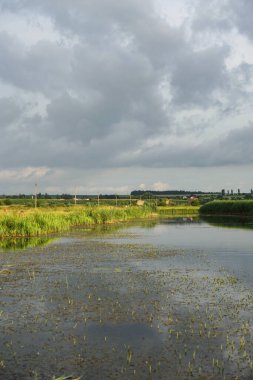 Mavi gökyüzüne karşı nehrin manzarası. Yazın güzel kırsal doğa