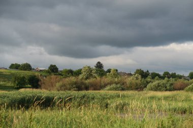 Gri gökyüzüne karşı güzel bir yaz manzarası. Nehir kenarındaki yeşillikte.