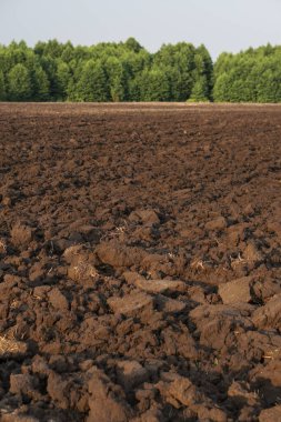 Ekmek için tarla sürdüm. Tahıl, baklagil ve itüzümü ekmeden önce toprağı hazırlama süreci. Çiftçilik ve gıda endüstrisi