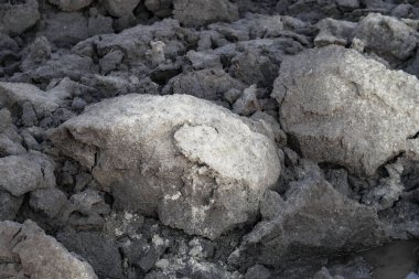 Çiftçilik için tarlayı sürdüm. Tahıl, baklagil ve itüzümü ekmeden önce toprağı hazırlama süreci. Çiftçilik ve gıda endüstrisi