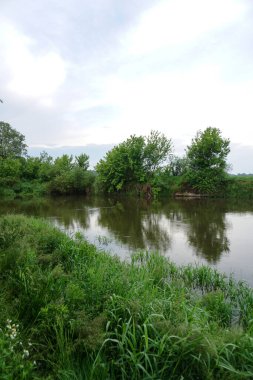 Güneşin son ışınlarıyla akşam manzarası. Yazın sabah nehir kenarında. Güzel doğa, tasarım için fotoğraf