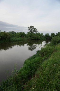 Güneşin son ışınlarıyla akşam manzarası. Yazın sabah nehir kenarında. Güzel doğa, tasarım için fotoğraf