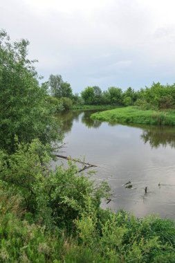 Güneşin son ışınlarıyla akşam manzarası. Yazın sabah nehir kenarında. Güzel doğa, tasarım için fotoğraf