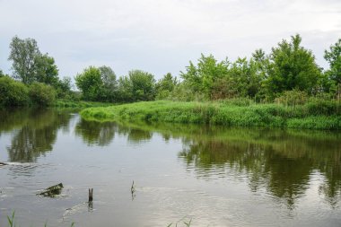 Güneşin son ışınlarıyla akşam manzarası. Yazın sabah nehir kenarında. Güzel doğa, tasarım için fotoğraf