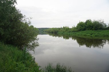 Güneşin son ışınlarıyla akşam manzarası. Yazın sabah nehir kenarında. Güzel doğa, tasarım için fotoğraf