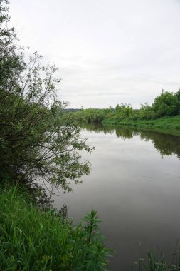 Güneşin son ışınlarıyla akşam manzarası. Yazın sabah nehir kenarında. Güzel doğa, tasarım için fotoğraf