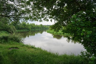 Güneşin son ışınlarıyla akşam manzarası. Yazın sabah nehir kenarında. Güzel doğa, tasarım için fotoğraf