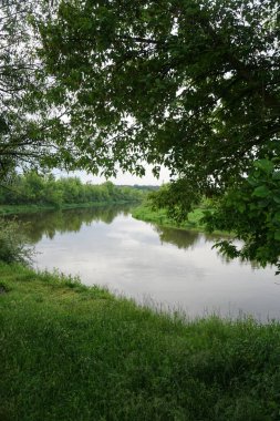 Güneşin son ışınlarıyla akşam manzarası. Yazın sabah nehir kenarında. Güzel doğa, tasarım için fotoğraf