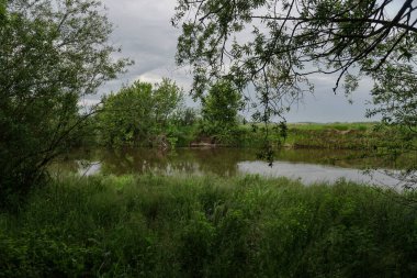 Güneşin son ışınlarıyla akşam manzarası. Yazın sabah nehir kenarında. Güzel doğa, tasarım için fotoğraf