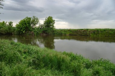 Güneşin son ışınlarıyla akşam manzarası. Yazın sabah nehir kenarında. Güzel doğa, tasarım için fotoğraf