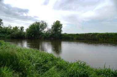 Güneşin son ışınlarıyla akşam manzarası. Yazın sabah nehir kenarında. Güzel doğa, tasarım için fotoğraf