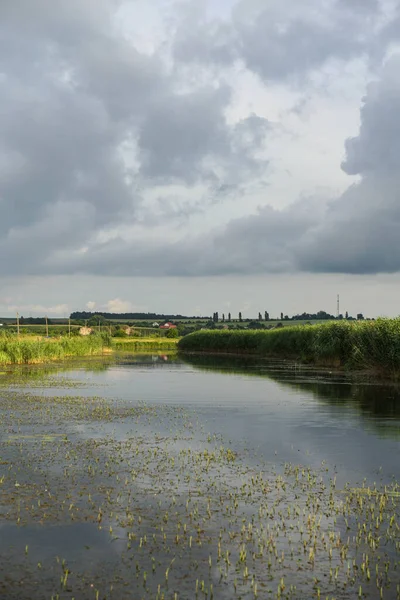Mavi gökyüzüne karşı nehrin manzarası. Yazın güzel kırsal doğa