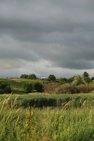 Hermoso Paisaje Verano Contra Cielo Gris Campo Vegetación Cerca Del — Foto de Stock