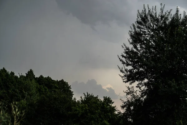 嵐の雲を背景に木 写真の背景 — ストック写真