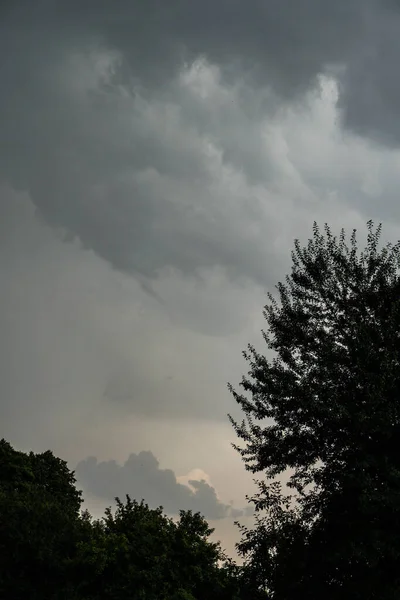 嵐の雲を背景に木 写真の背景 — ストック写真