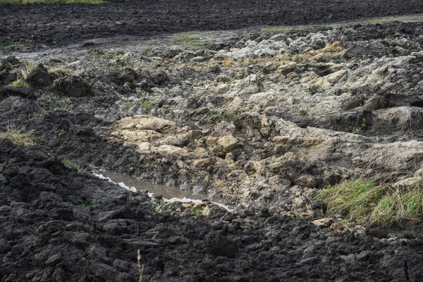 Terreno Agricolo Coltivato Semina Processo Preparazione Del Terreno Prima Piantare — Foto Stock