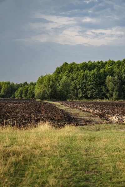 Campo Fazenda Contra Fundo Céu Floresta Paisagem Rural Bonita — Fotografia de Stock