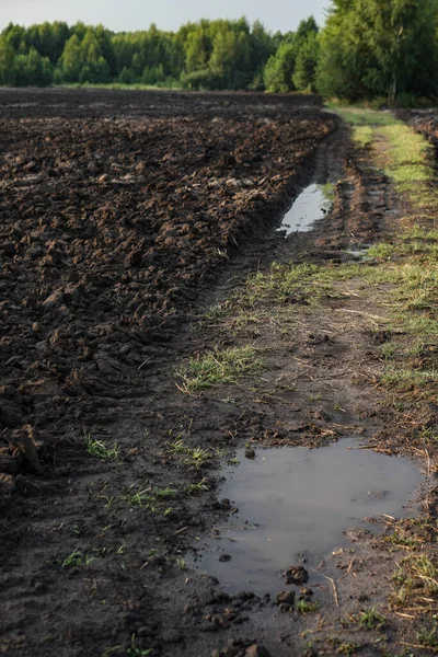 Strada Campagna Attraverso Campo Agricolo Arato Agricoltura Industria Alimentare Foto — Foto Stock