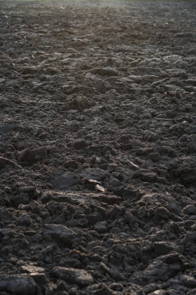 Оранка Сільськогосподарського Поля Посіву Процес Приготування Ґрунту Перед Посадкою Зернових — стокове фото