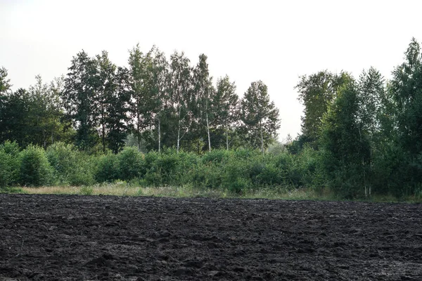 Terreno Agricolo Coltivato Semina Processo Preparazione Del Terreno Prima Piantare — Foto Stock
