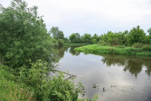 Kvällslandskap Med Solens Sista Strålar Morgon Vid Floden Sommaren Vacker — Stockfoto