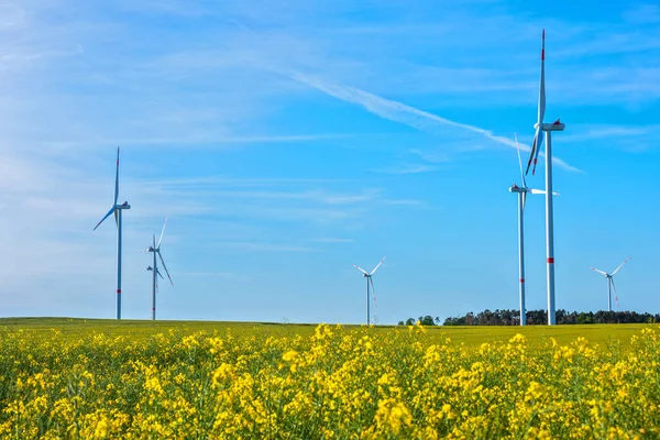 Panoramic view of wind park, with high wind turbines for generation electricity with copy space. Green energy concept.