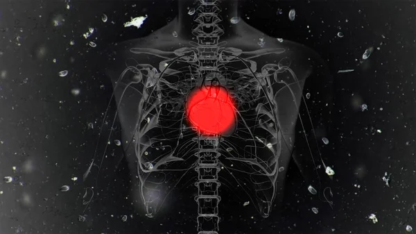 コンピュータが生み出す人間の心をつなぐ赤い点システム解剖学 — ストック写真