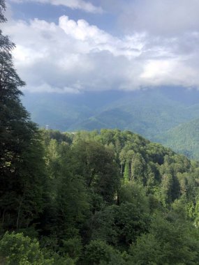 Dağlardaki ormanın üzerindeki bulutlar