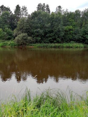 Güzel bir göldeki ağaçların yansıması.