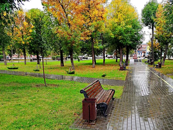 Bench in the autumn park during the rain