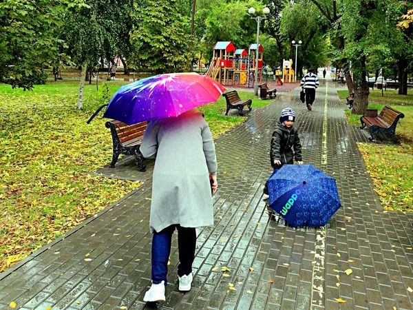 Прогулка Зонтиком Дождем Парке — стоковое фото