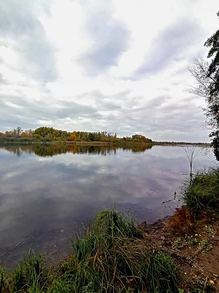 Geniş bir nehrin kıyısındaki orman