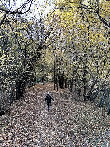Sonbahar parkında yapraklardan bir halının üzerinde yürüyorum.