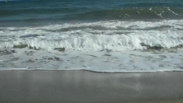 Foto del océano con olas tranquilas en tierra — Vídeos de Stock