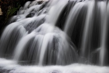 Gece vakti koyu yeşil ormanlarda akan beyaz şelale.
