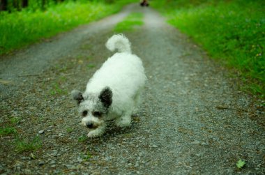 Parkta tasmalı bir kadın.