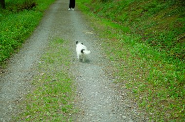 Parkta tasmalı bir kadın.