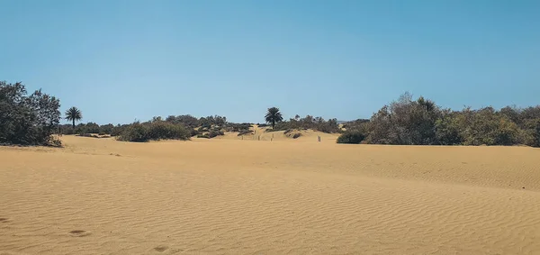 Rötliche Sanddünen auf Gran Canaria. — Stockfoto